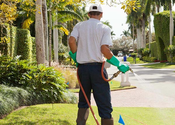 About Poultney VT Pest Control Pros